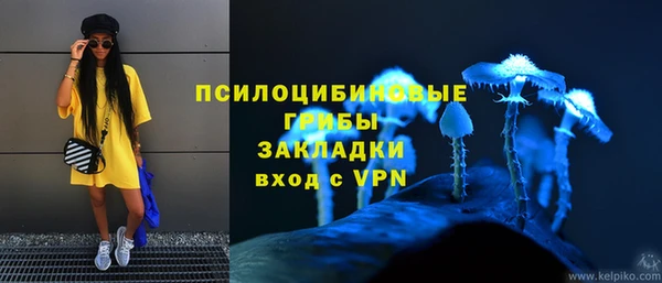 СК Магадан