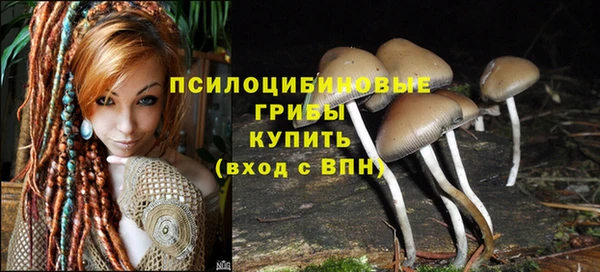 не бодяженный Магас