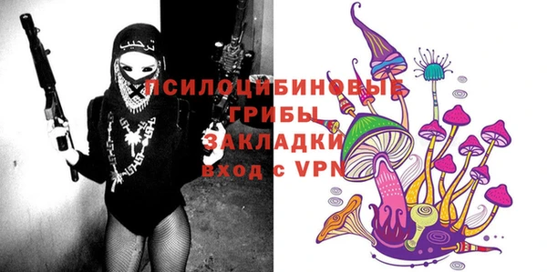 мдпв Лихославль